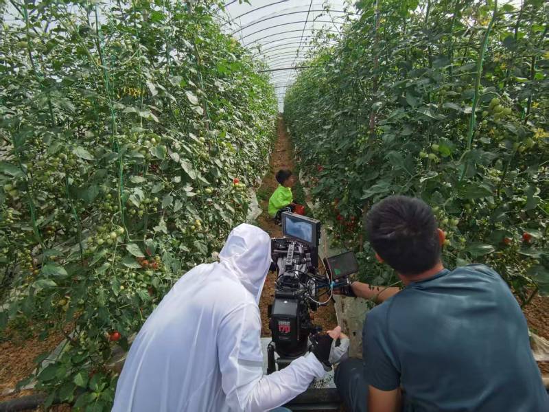 上海产品宣传视频拍摄公司进阶指南，助力品牌抢占传播高地